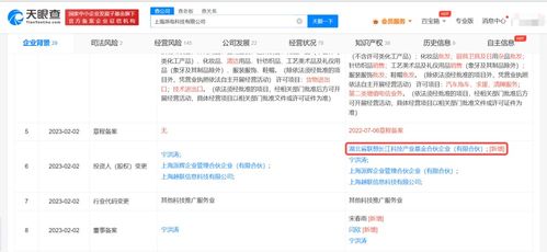 信息系統(tǒng)集成服務 數(shù)字化時代的企業(yè)核心競爭力構(gòu)建